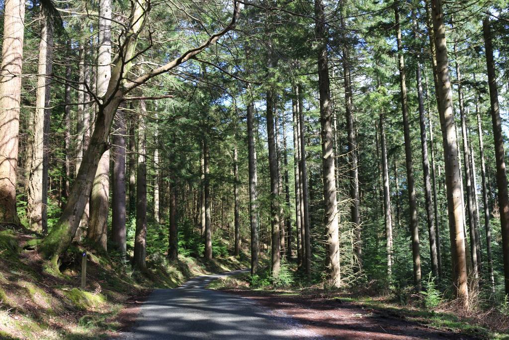 Bod Gwynedd Bed And Breakfast Betws-y-Coed Dış mekan fotoğraf