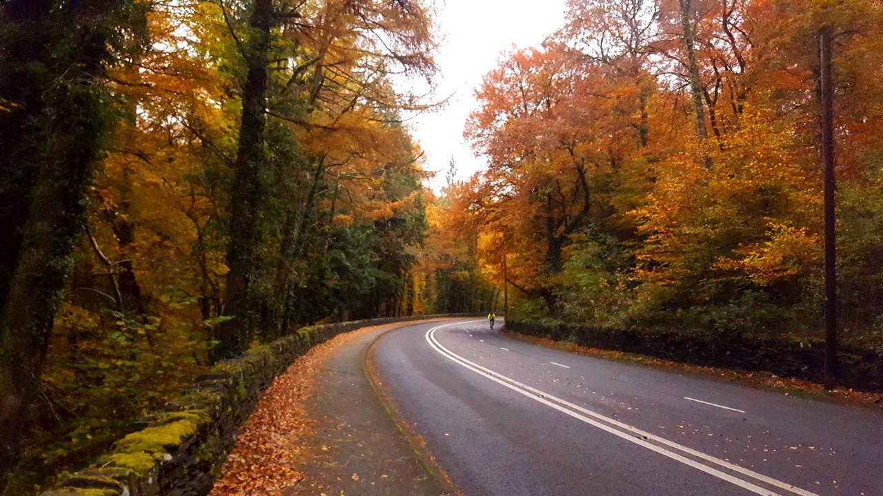 Bod Gwynedd Bed And Breakfast Betws-y-Coed Dış mekan fotoğraf
